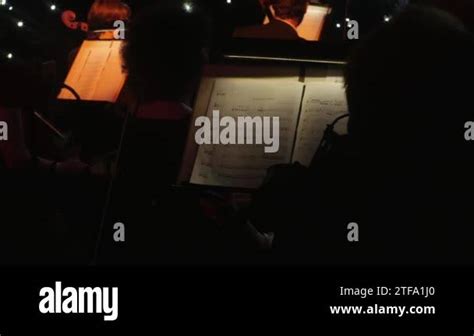 String Section Orchestra 的图像结果