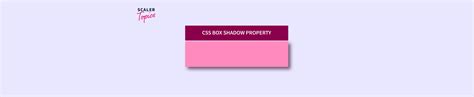 Image result for Set Box Shadow Opacity CSS