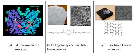 Ecotechnologies for Glucose Oxidase-GOx Immobilization on Nonconductive ...