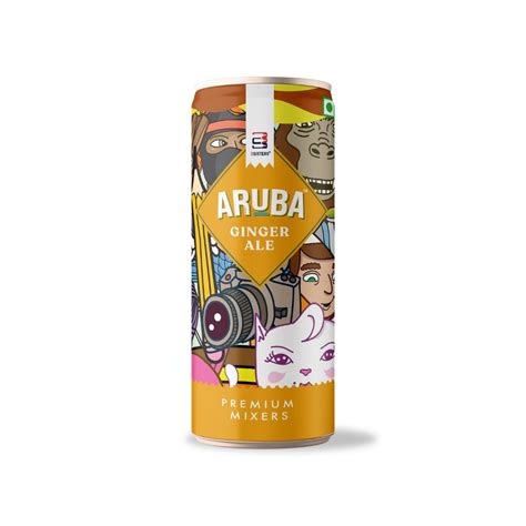 Aruba – Ginger Ale Mixer (12 Cans) – 3SistersDrinks