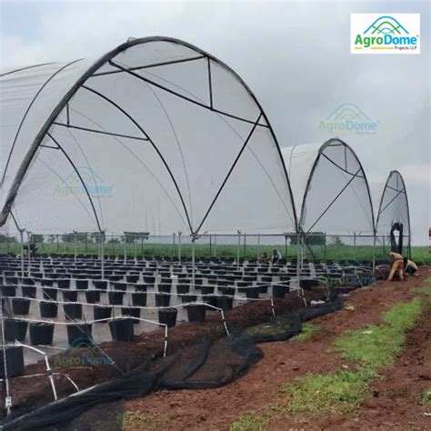 High Polytunnels - Single Tunnel Polyhouse Manufacturer from Gandhinagar