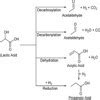 Acetaldehyde to Lactic acid - Brainly.in