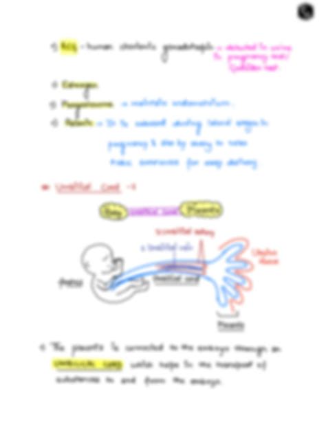 Image result for Human Reproduction Handwritten Notes