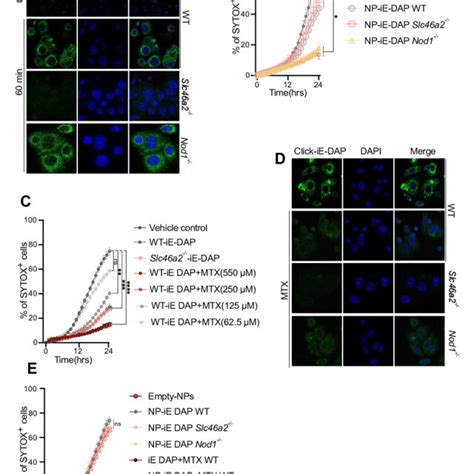 Slc46 Structure 的图像结果