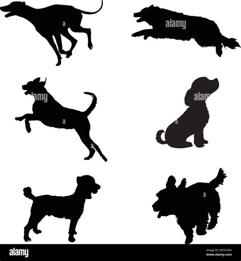 Six black silhouettes of dogs at play Stock Vector Image & Art - Alamy