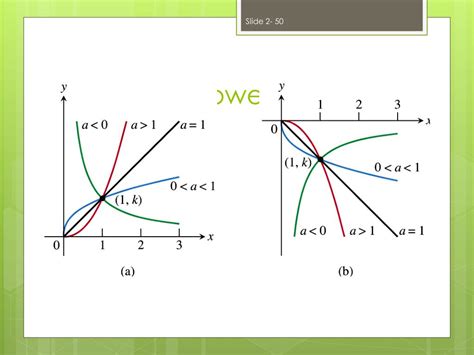 Image result for Examples of Power Functions
