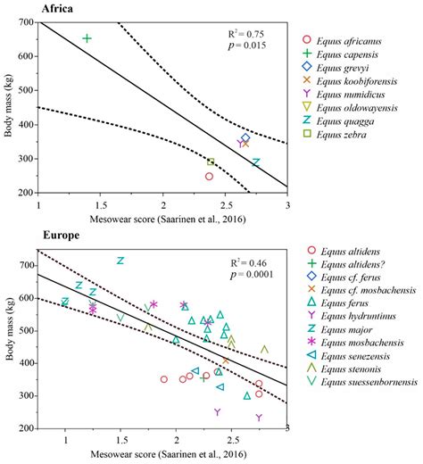 Evolution of the Family Equidae, Subfamily Equinae, in North, Central ...