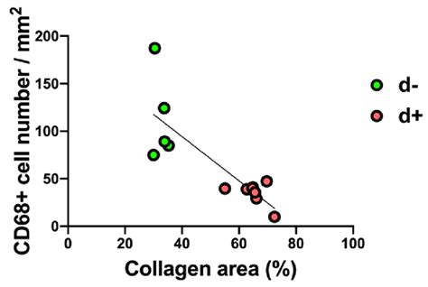 Image result for Correlation Chart Examples