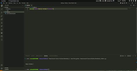 Image result for Setup Vscode for Python Linux
