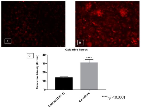 Cellular and Molecular Response of Macrophages THP-1 during Co-Culture ...