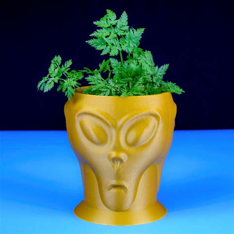 Image result for Alien Glass