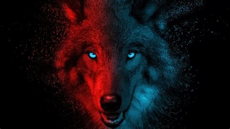 Lobo con luces rojas y azules Fondo de pantalla 4k ID:9887