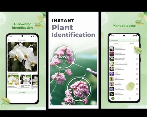 Edible Plant Identification App 的图像结果