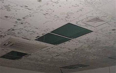 天花板为什么会漏水 天花板漏水了怎么处理 - 麦高建材