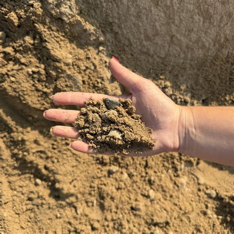 Image result for Fill Sand