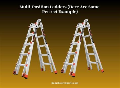 Multi-Position Ladder 的图像结果