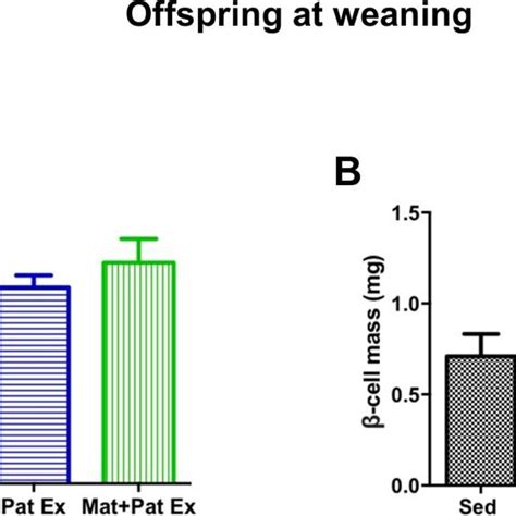 Paternal Exercise 的图像结果