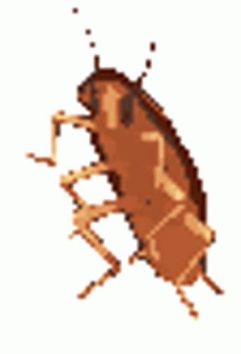 Cockroach Meme GIF 的图像结果