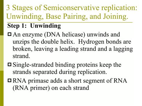 Chapter 12.2 dna replication | PPT