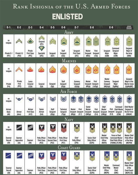 Us Army Enlisted Rank Insignia Svg File Best Free Fon - vrogue.co