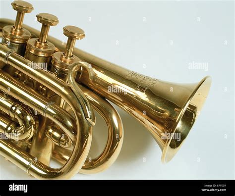 Image result for Cornet Musical Instrument