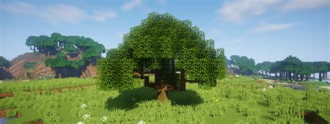 Image result for Minecraft Java Dynamic Trees