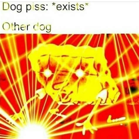 Bottom Text Meme 的图像结果