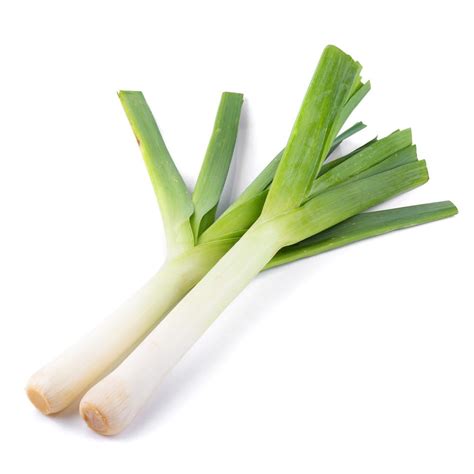 Nutrifresh Leek Hydroponically Grown (approx.100gm) Pack : Amazon.in ...