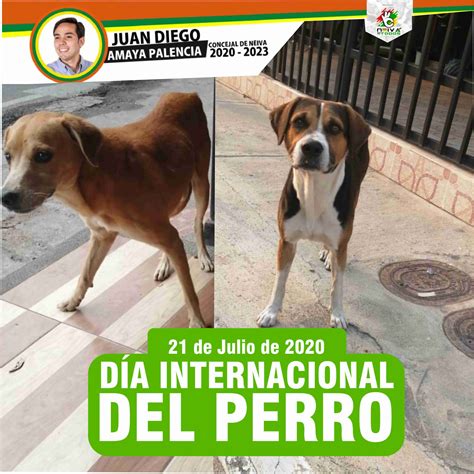 Concejales radican Política Pública que vela por la Protección y ...