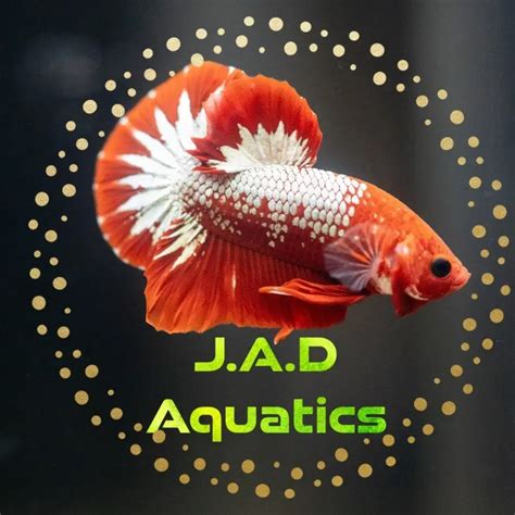 Aquarium | J.A.D AQUATICS | Dharapuram