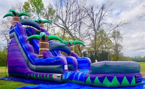 Image result for Inflatable Water Slide Fun