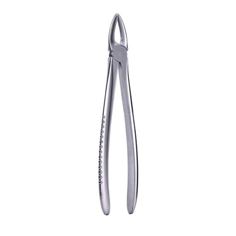 Import Premium Stainless Steel Mathiew Plier for Precision Dental Proc ...