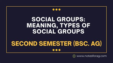 Social Groups. Examples 的图像结果