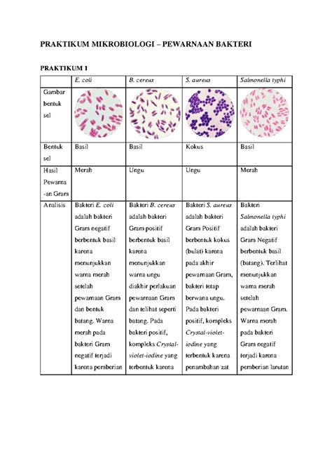 Mikrobiologi Pewarnaan Bakteri - PRAKTIKUM MIKROBIOLOGI – PEWARNAAN BAKTERI PRAKTIKUM 1 E. coli ...