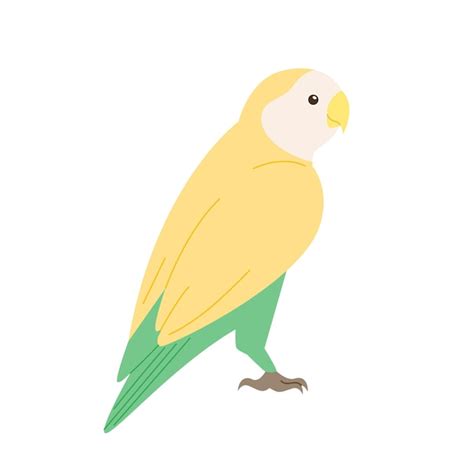 Image result for Simple Hand Drawn Parrot