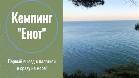 #3 Отдых с палаткой на Черном море! Кемпинг "Енот". Первый выезд с ...