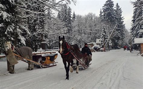 SLEIGH RIDE IN THE TATRA NATIONAL PARK (2026) All You Need to Know ...