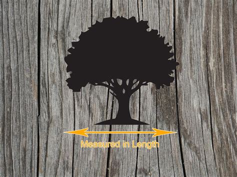 How to Shape Oak Tree 的图像结果