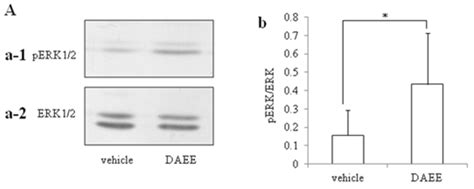 2-Decenoic Acid Ethyl Ester, a Compound That Elicits Neurotrophin-like ...
