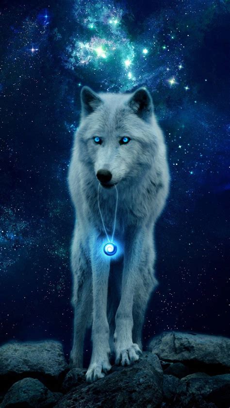 [100+] Galaxy Wolf Wallpapers | Wallpapers.com