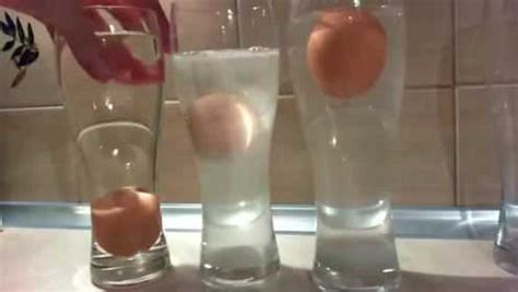 鸡蛋和盐水的小实验，和孩子一起来看_腾讯视频