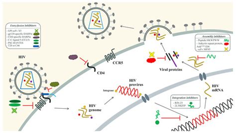 Current Peptide and Protein Candidates Challenging HIV Therapy beyond ...