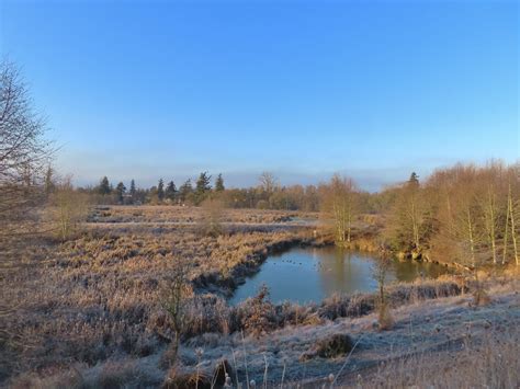 Talking Water Gardens – wanderingyuncks