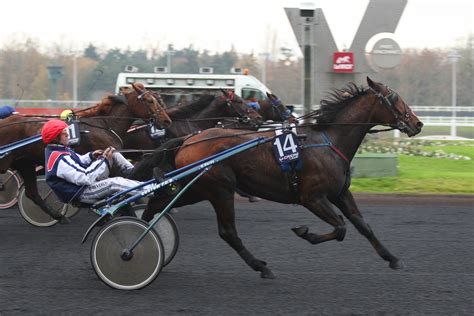 What Is A Sulky Puller at Christine Cogdill blog