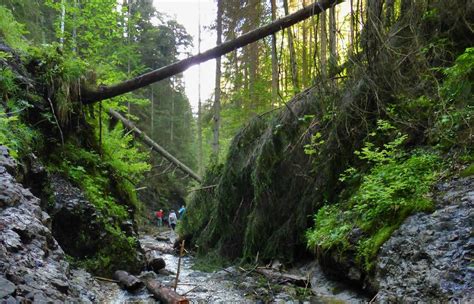 Spisska Nova Ves Tourism (2023): Best of Spisska Nova Ves, Slovakia ...