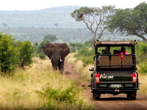 https://alloutafrica.com/wp-content/uploads/2021/03/All-Out-Africa-Open-Safari-Vehicle-OSV-1030x773.jpg?utm_source=chatgpt.com