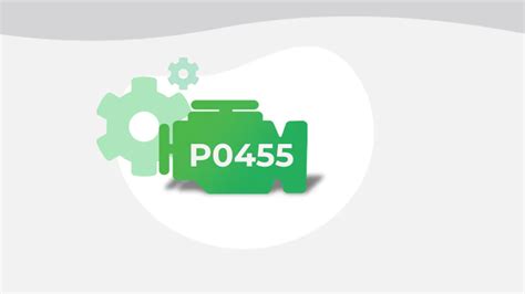 Image result for Scan Code P0455