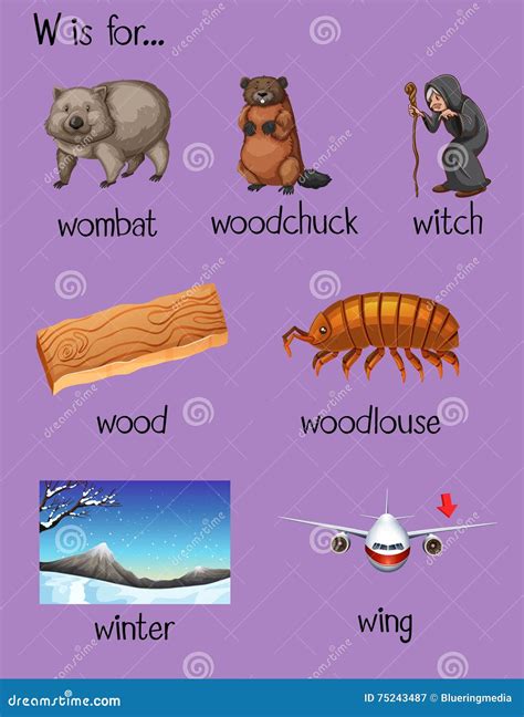 Muchas Palabras Comienzan Con La Letra W Ilustración del Vector ...