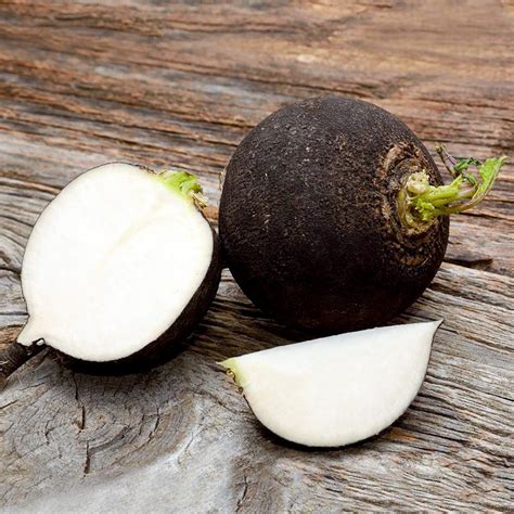 50 Spanish Black Large Radish Seeds - Welldales