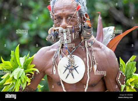 Image result for Primitive Island